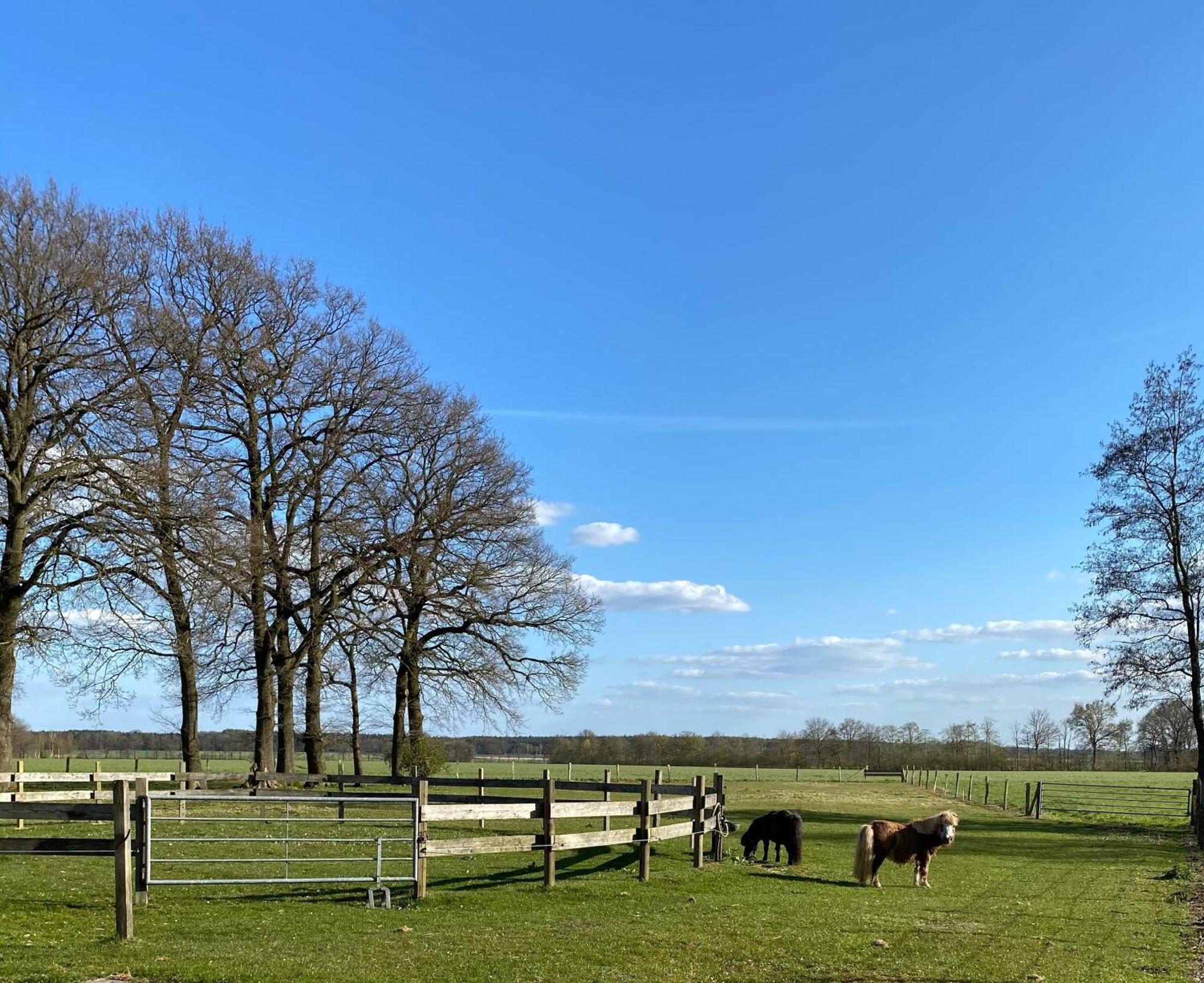 Ferienhof Westermann Waldblick Lähden Exterior photo